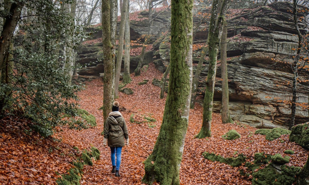 Die schönsten Wanderwege im Siegerland: Natur pur auf dem Rothaarsteig