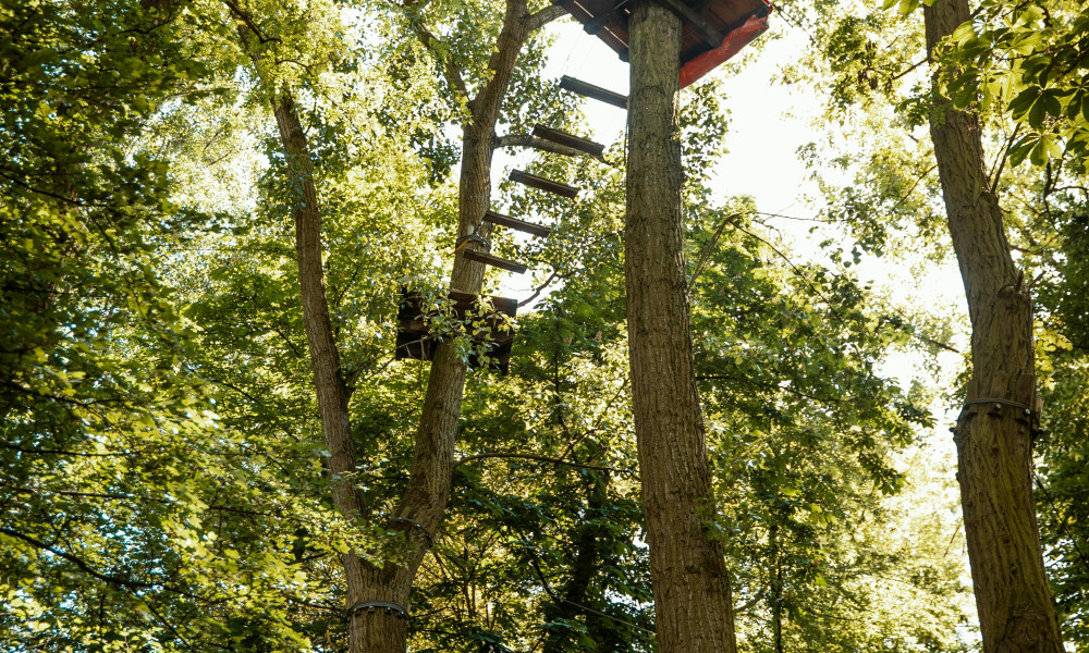 Kletterparks im Siegerland - Spaß und Herausforderung für Groß und Klein