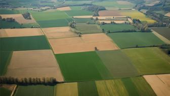 Kriterien und Einflussfaktoren der landwirtschaftlichen Nutzfläche in Deutschland