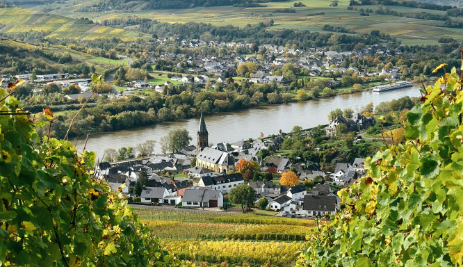 Weinurlaub: Genussvolles Reisen in den weltweit schönsten Weinlandschaften